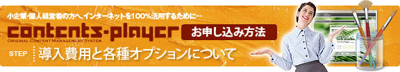 導入費用と各種オプションについて